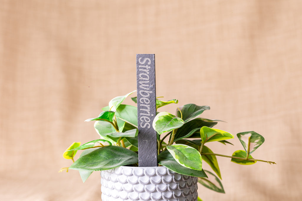 Engraved Slate Plant Markers