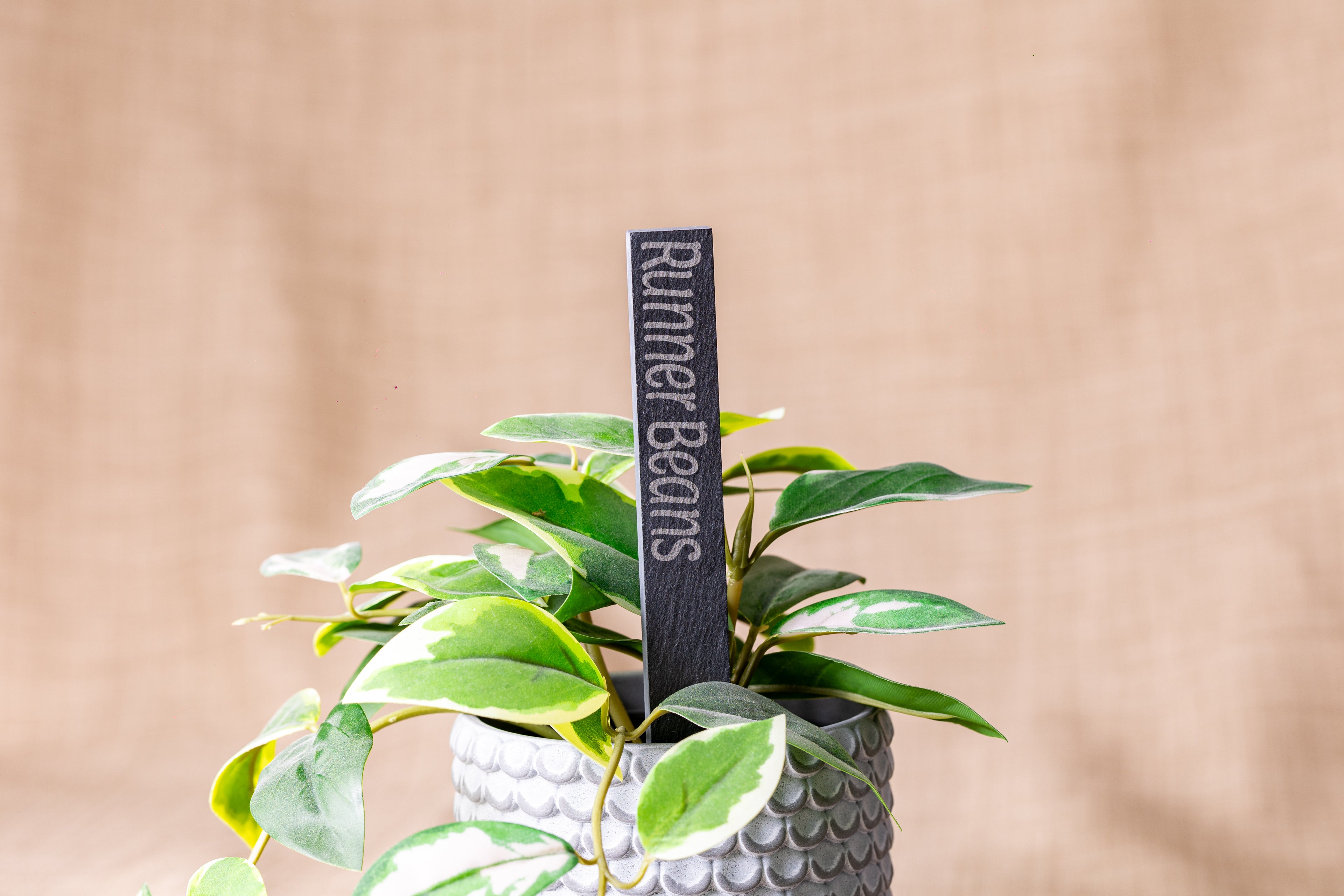 Engraved Slate Plant Markers