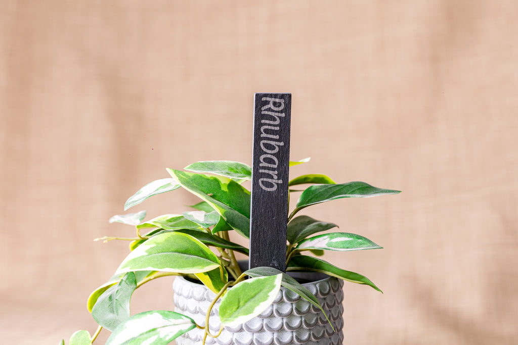 Engraved Slate Plant Markers