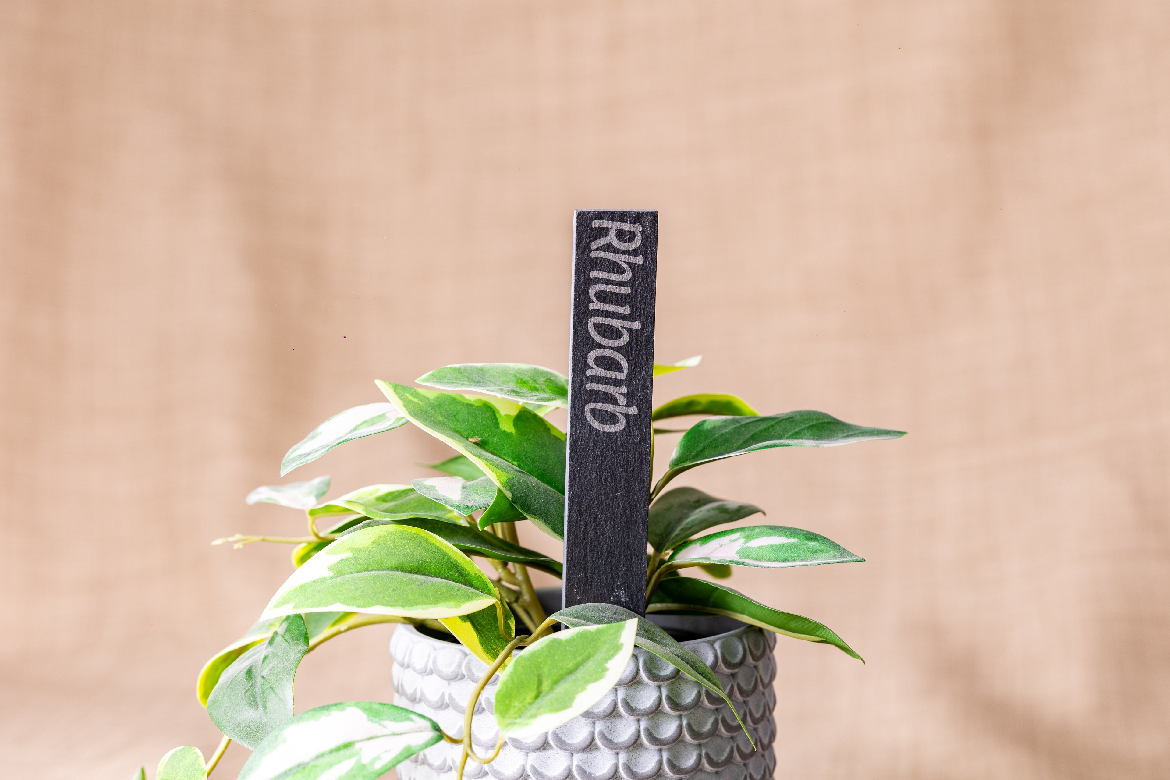 Engraved Slate Plant Markers