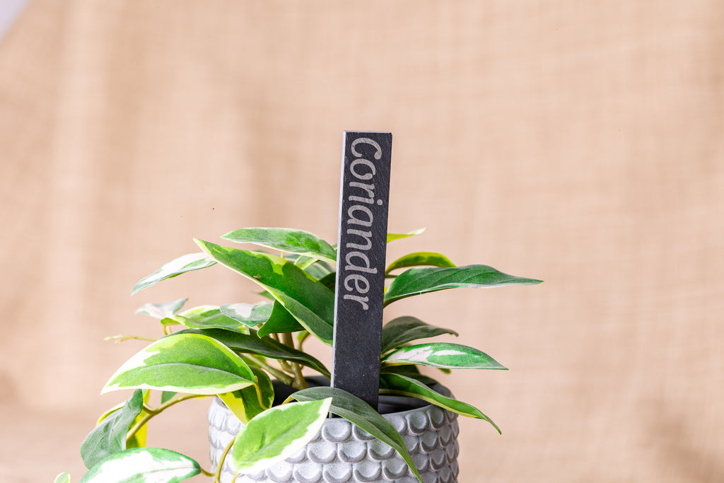 Engraved Slate Plant Markers
