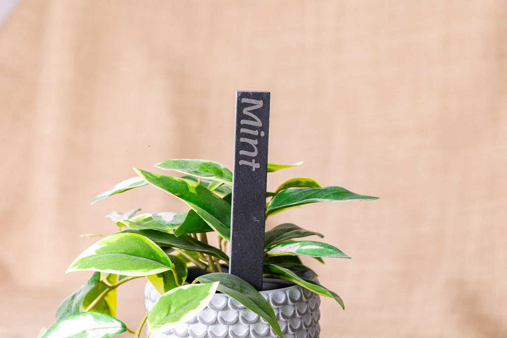 Engraved Slate Plant Markers