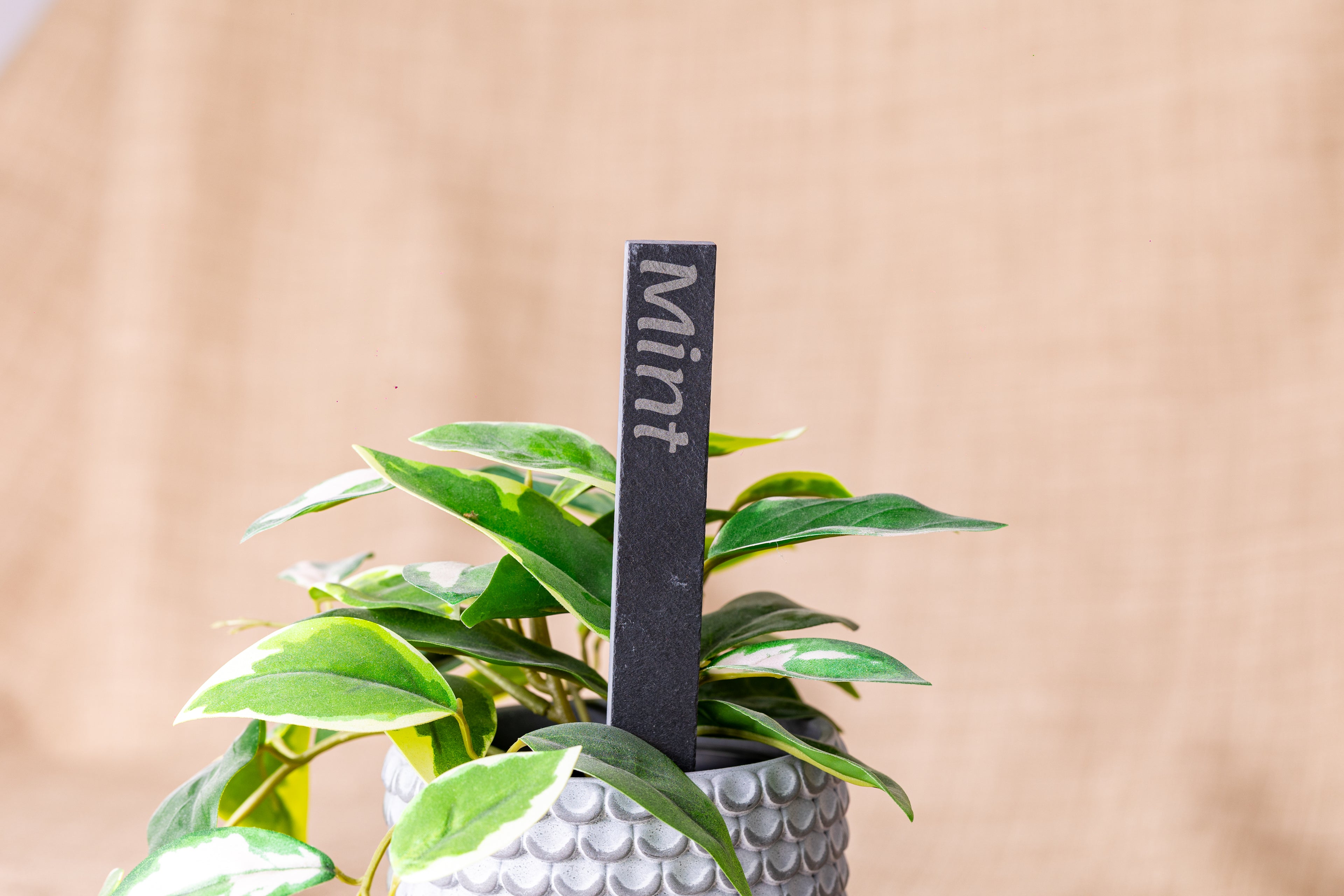 Engraved Slate Plant Markers